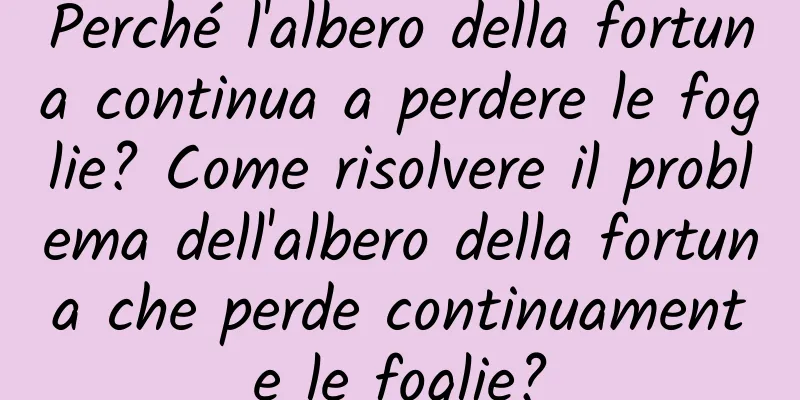Perché l'albero della fortuna continua a perdere le foglie? Come risolvere il problema dell'albero della fortuna che perde continuamente le foglie?