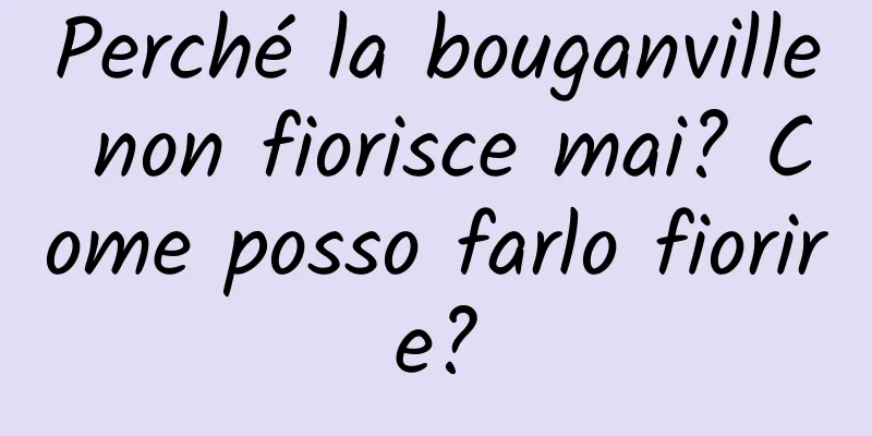 Perché la bouganville non fiorisce mai? Come posso farlo fiorire?