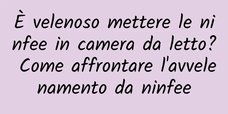 È velenoso mettere le ninfee in camera da letto? Come affrontare l'avvelenamento da ninfee