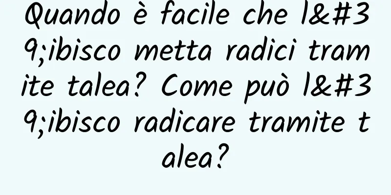 Quando è facile che l'ibisco metta radici tramite talea? Come può l'ibisco radicare tramite talea?