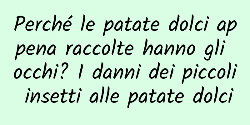 Perché le patate dolci appena raccolte hanno gli occhi? I danni dei piccoli insetti alle patate dolci