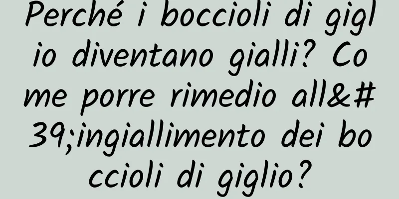 Perché i boccioli di giglio diventano gialli? Come porre rimedio all'ingiallimento dei boccioli di giglio?