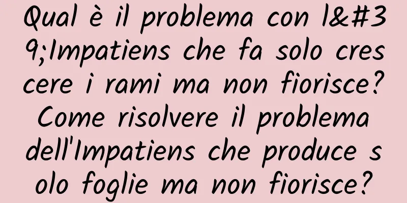 Qual è il problema con l'Impatiens che fa solo crescere i rami ma non fiorisce? Come risolvere il problema dell'Impatiens che produce solo foglie ma non fiorisce?