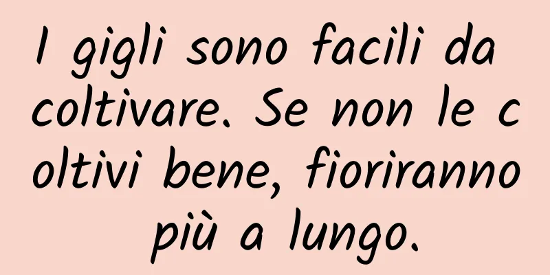 I gigli sono facili da coltivare. Se non le coltivi bene, fioriranno più a lungo.