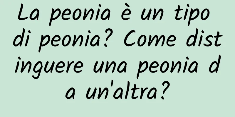 La peonia è un tipo di peonia? Come distinguere una peonia da un'altra?