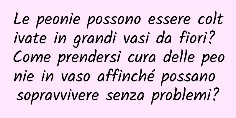 Le peonie possono essere coltivate in grandi vasi da fiori? Come prendersi cura delle peonie in vaso affinché possano sopravvivere senza problemi?