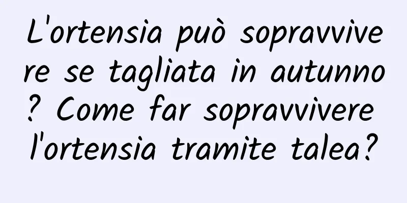L'ortensia può sopravvivere se tagliata in autunno? Come far sopravvivere l'ortensia tramite talea?