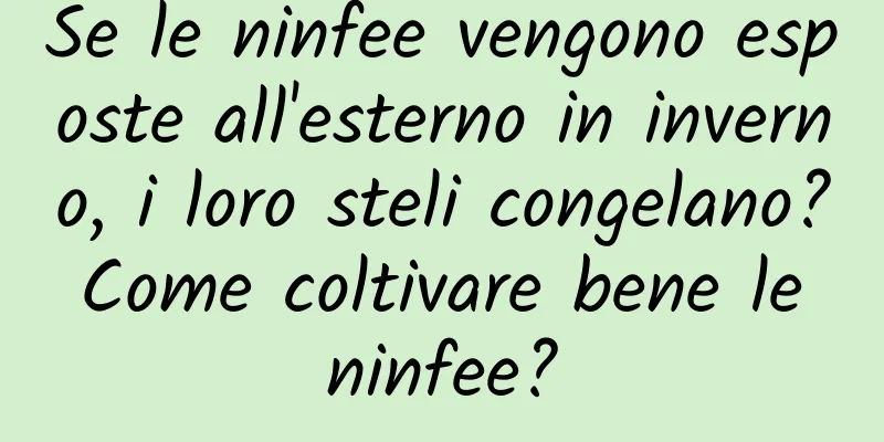 Se le ninfee vengono esposte all'esterno in inverno, i loro steli congelano? Come coltivare bene le ninfee?