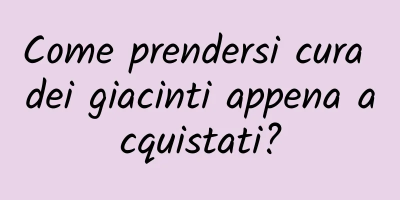 Come prendersi cura dei giacinti appena acquistati?