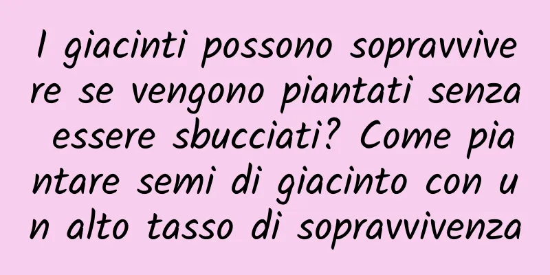 I giacinti possono sopravvivere se vengono piantati senza essere sbucciati? Come piantare semi di giacinto con un alto tasso di sopravvivenza