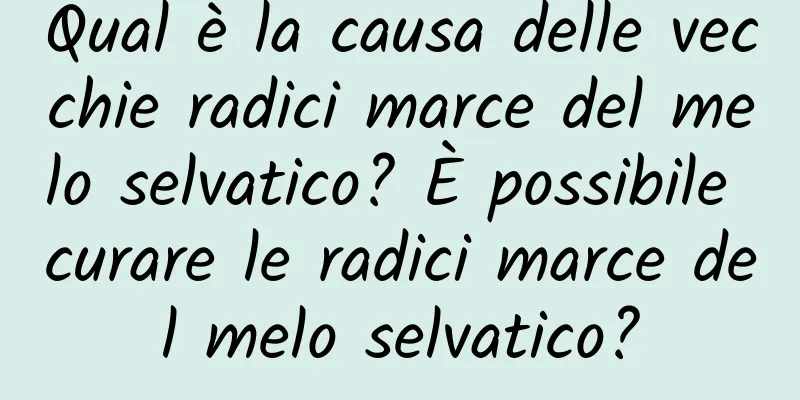 Qual è la causa delle vecchie radici marce del melo selvatico? È possibile curare le radici marce del melo selvatico?