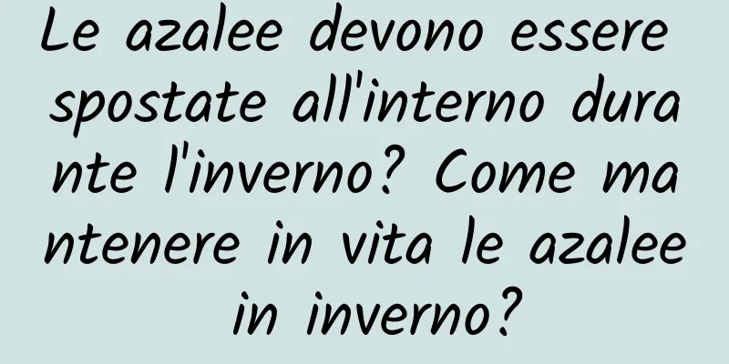 Le azalee devono essere spostate all'interno durante l'inverno? Come mantenere in vita le azalee in inverno?