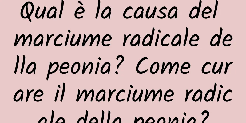 Qual è la causa del marciume radicale della peonia? Come curare il marciume radicale della peonia?