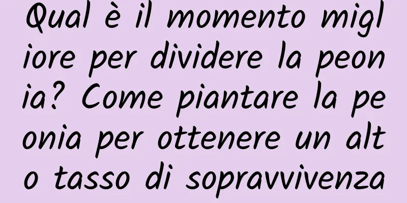 Qual è il momento migliore per dividere la peonia? Come piantare la peonia per ottenere un alto tasso di sopravvivenza