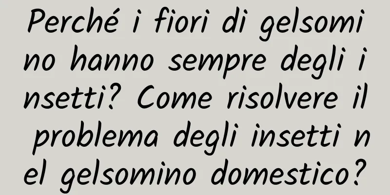 Perché i fiori di gelsomino hanno sempre degli insetti? Come risolvere il problema degli insetti nel gelsomino domestico?