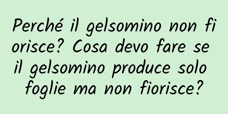 Perché il gelsomino non fiorisce? Cosa devo fare se il gelsomino produce solo foglie ma non fiorisce?