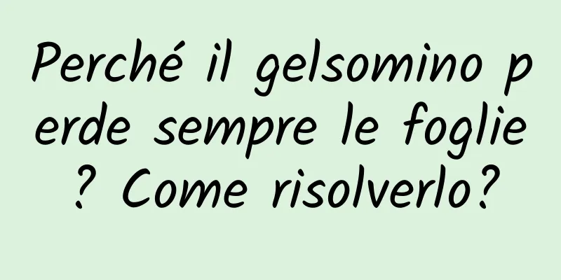Perché il gelsomino perde sempre le foglie? Come risolverlo?