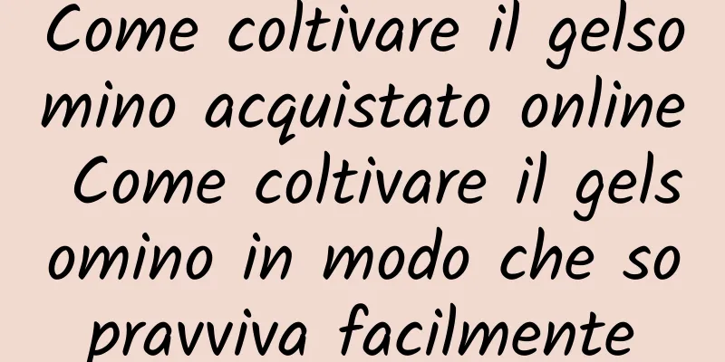 Come coltivare il gelsomino acquistato online Come coltivare il gelsomino in modo che sopravviva facilmente