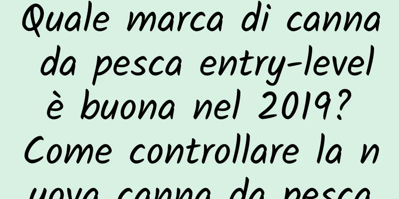 Quale marca di canna da pesca entry-level è buona nel 2019? Come controllare la nuova canna da pesca