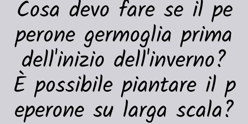 Cosa devo fare se il peperone germoglia prima dell'inizio dell'inverno? È possibile piantare il peperone su larga scala?