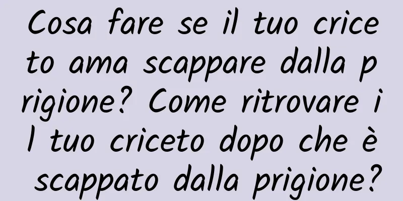 Cosa fare se il tuo criceto ama scappare dalla prigione? Come ritrovare il tuo criceto dopo che è scappato dalla prigione?