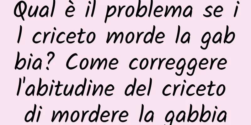 Qual è il problema se il criceto morde la gabbia? Come correggere l'abitudine del criceto di mordere la gabbia