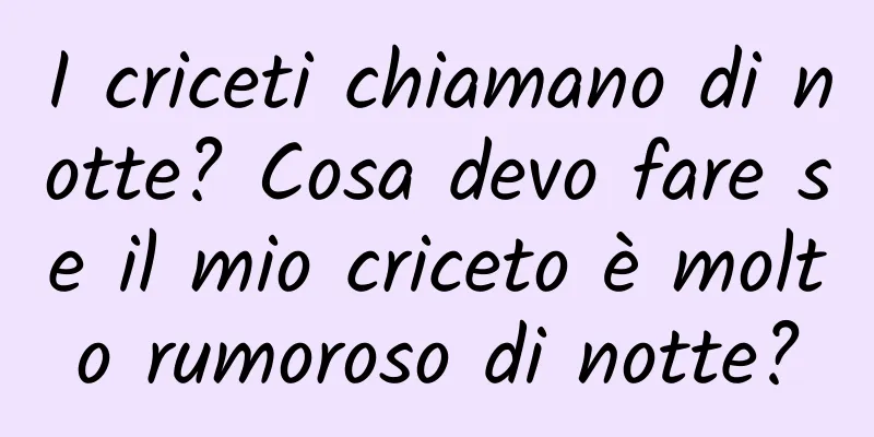 I criceti chiamano di notte? Cosa devo fare se il mio criceto è molto rumoroso di notte?