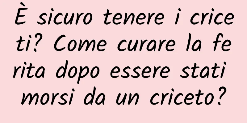 È sicuro tenere i criceti? Come curare la ferita dopo essere stati morsi da un criceto?