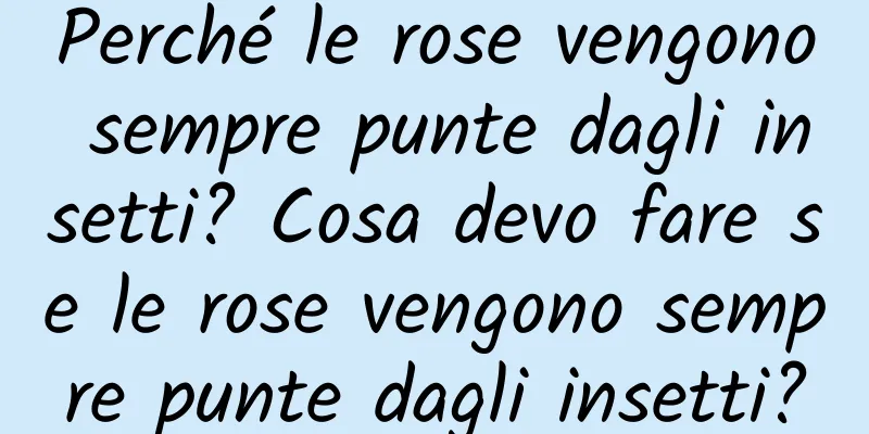 Perché le rose vengono sempre punte dagli insetti? Cosa devo fare se le rose vengono sempre punte dagli insetti?