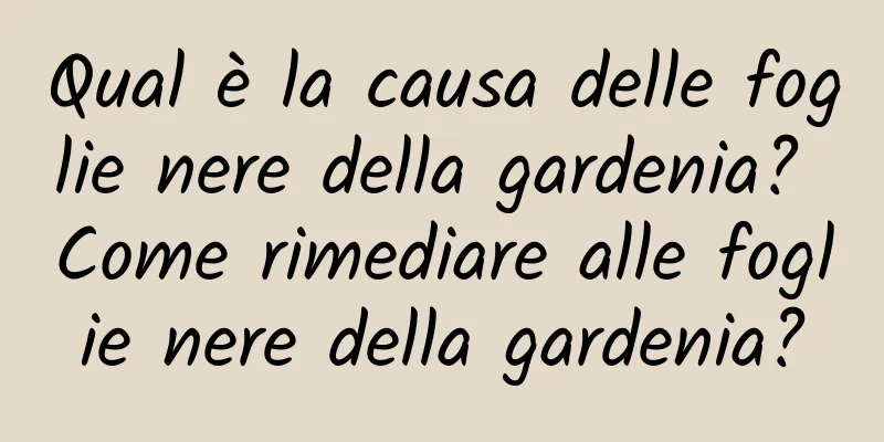 Qual è la causa delle foglie nere della gardenia? Come rimediare alle foglie nere della gardenia?
