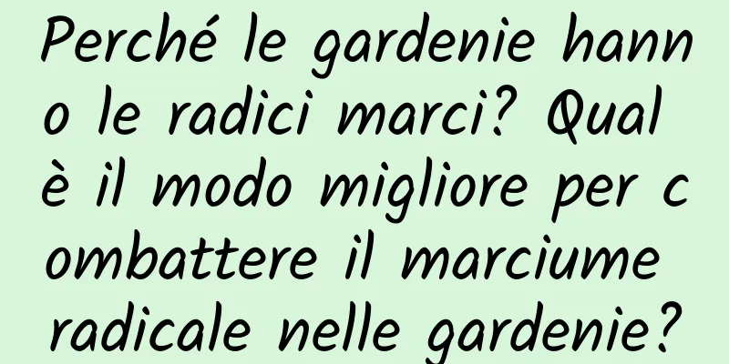Perché le gardenie hanno le radici marci? Qual è il modo migliore per combattere il marciume radicale nelle gardenie?