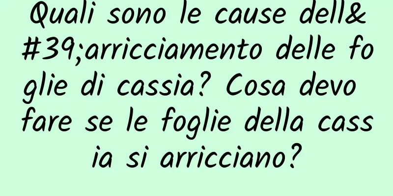 Quali sono le cause dell'arricciamento delle foglie di cassia? Cosa devo fare se le foglie della cassia si arricciano?