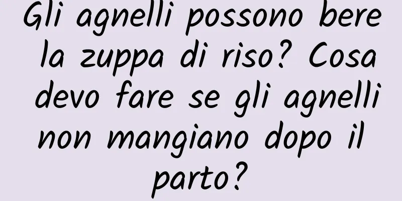 Gli agnelli possono bere la zuppa di riso? Cosa devo fare se gli agnelli non mangiano dopo il parto?