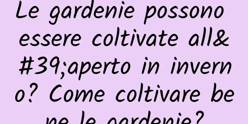 Le gardenie possono essere coltivate all'aperto in inverno? Come coltivare bene le gardenie?