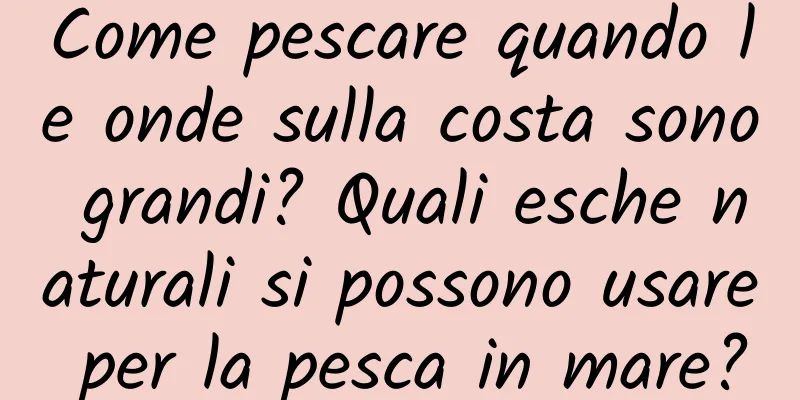 Come pescare quando le onde sulla costa sono grandi? Quali esche naturali si possono usare per la pesca in mare?