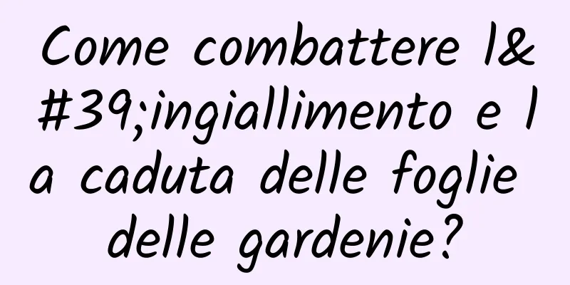 Come combattere l'ingiallimento e la caduta delle foglie delle gardenie?