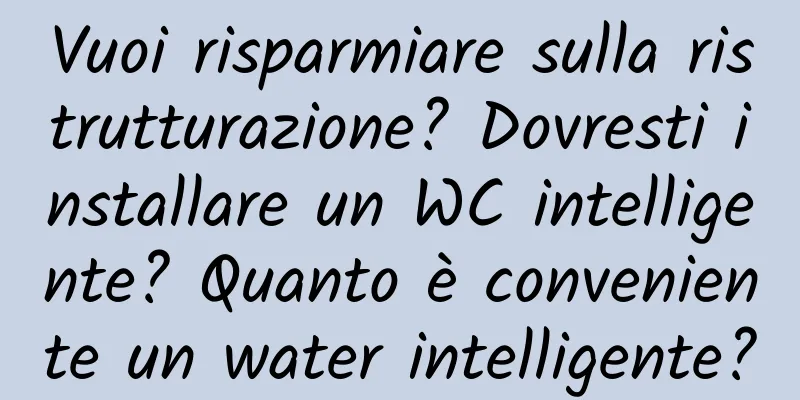 Vuoi risparmiare sulla ristrutturazione? Dovresti installare un WC intelligente? Quanto è conveniente un water intelligente?