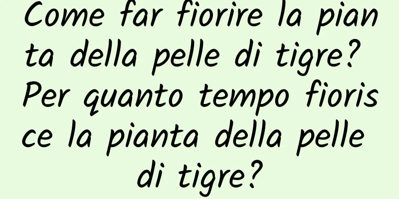Come far fiorire la pianta della pelle di tigre? Per quanto tempo fiorisce la pianta della pelle di tigre?