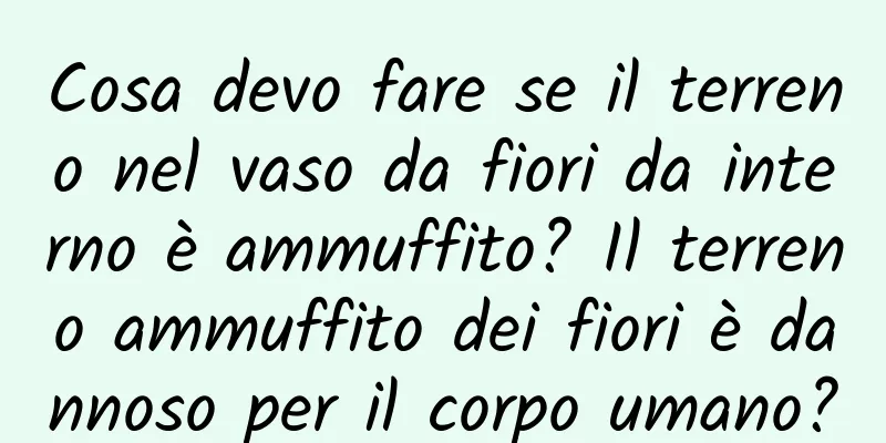 Cosa devo fare se il terreno nel vaso da fiori da interno è ammuffito? Il terreno ammuffito dei fiori è dannoso per il corpo umano?