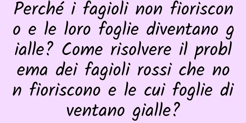 Perché i fagioli non fioriscono e le loro foglie diventano gialle? Come risolvere il problema dei fagioli rossi che non fioriscono e le cui foglie diventano gialle?