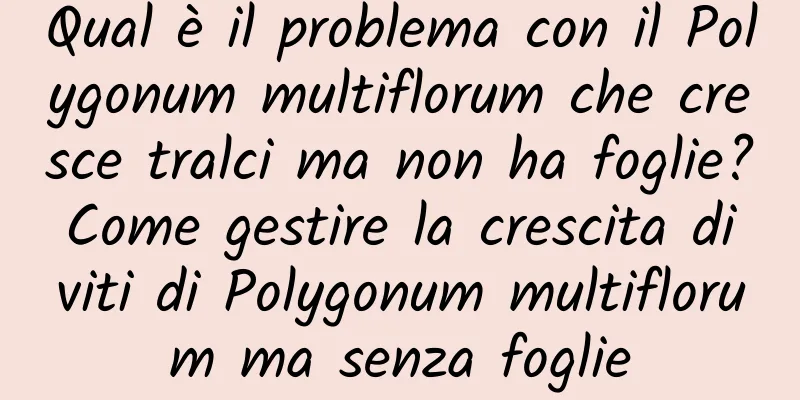 Qual è il problema con il Polygonum multiflorum che cresce tralci ma non ha foglie? Come gestire la crescita di viti di Polygonum multiflorum ma senza foglie