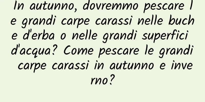 In autunno, dovremmo pescare le grandi carpe carassi nelle buche d'erba o nelle grandi superfici d'acqua? Come pescare le grandi carpe carassi in autunno e inverno?