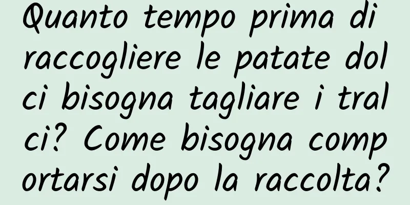 Quanto tempo prima di raccogliere le patate dolci bisogna tagliare i tralci? Come bisogna comportarsi dopo la raccolta?