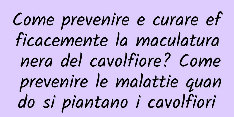 Come prevenire e curare efficacemente la maculatura nera del cavolfiore? Come prevenire le malattie quando si piantano i cavolfiori
