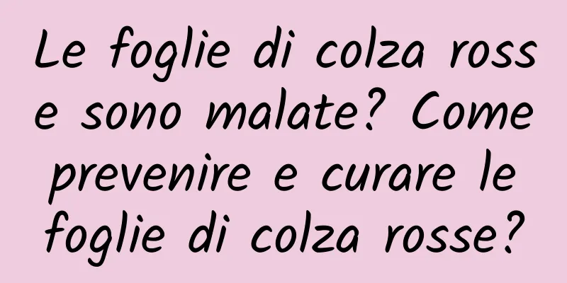 Le foglie di colza rosse sono malate? Come prevenire e curare le foglie di colza rosse?