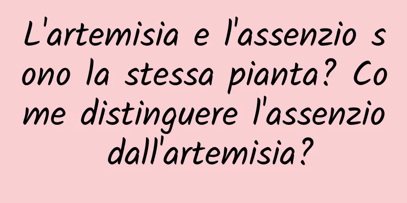 L'artemisia e l'assenzio sono la stessa pianta? Come distinguere l'assenzio dall'artemisia?