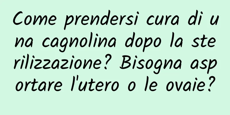 Come prendersi cura di una cagnolina dopo la sterilizzazione? Bisogna asportare l'utero o le ovaie?