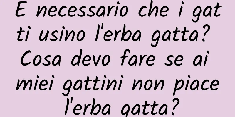 È necessario che i gatti usino l'erba gatta? Cosa devo fare se ai miei gattini non piace l'erba gatta?
