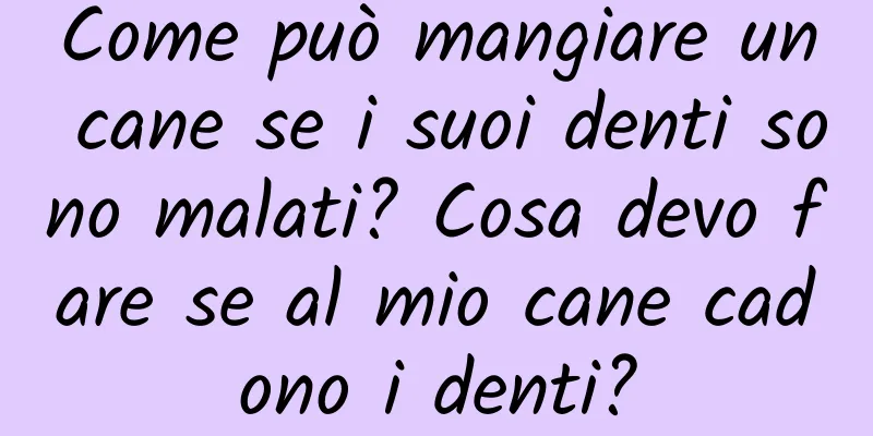 Come può mangiare un cane se i suoi denti sono malati? Cosa devo fare se al mio cane cadono i denti?