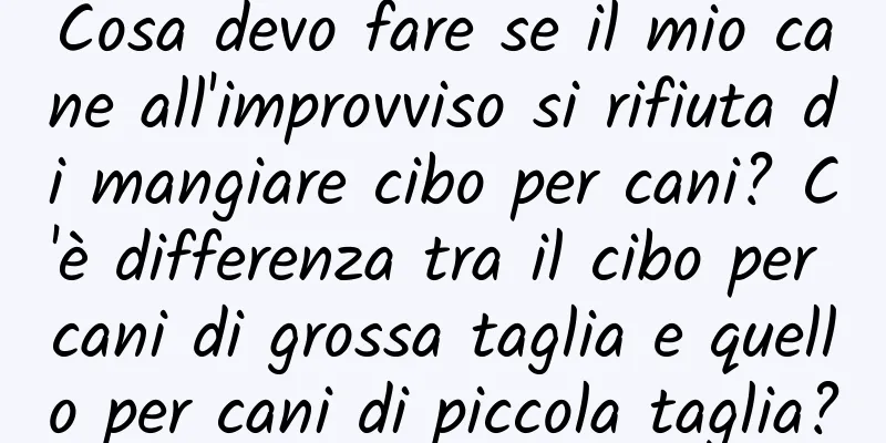 Cosa devo fare se il mio cane all'improvviso si rifiuta di mangiare cibo per cani? C'è differenza tra il cibo per cani di grossa taglia e quello per cani di piccola taglia?